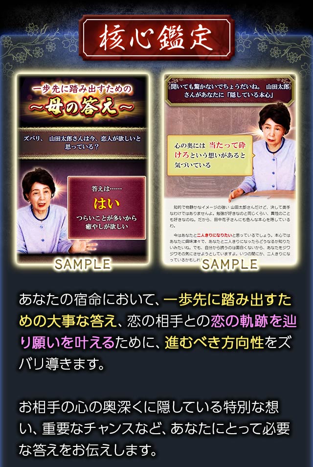 核心鑑定　あなたの宿命において、一歩先に踏み出すための大事な答え、恋の相手との恋の軌跡を辿り願いを叶えるために、進むべき方向性をズバリ導きます。お相手の心の奥深くに隠している特別な想い、重要なチャンスなど、あなたにとって必要な答えをお伝えします。