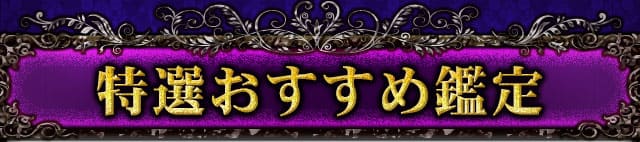 特選おすすめ鑑定