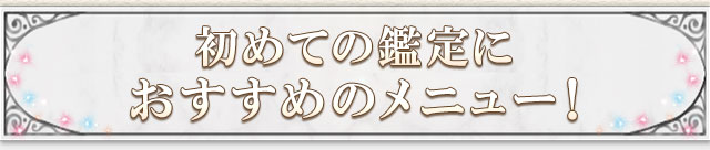 初めての鑑定におすすめのメニュー