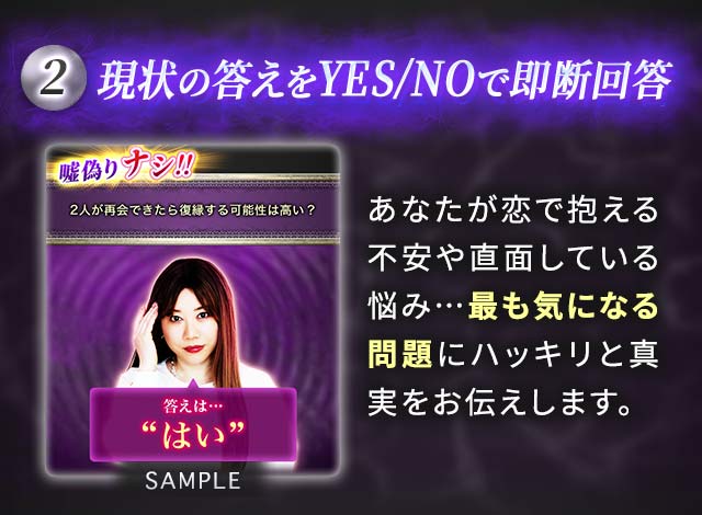2 現状の答えをYES/NOで即断回答 SAMPLE あなたが恋で抱える不安や直面している悩み…最も気になる問題にハッキリと真実をお伝えします。