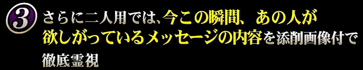 さらに二人用では、今この瞬間、あの人が欲しがっているメッセージの内容を添削画像付で徹底霊視