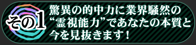 その1　驚異の的中力に業界騒然の“霊視能力”であなたの本質と今を見抜きます！