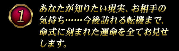 あなたが知りたい現実、お相手の気持ち……　今後訪れる転機まで、命式に刻まれた運命を全てお見せします。