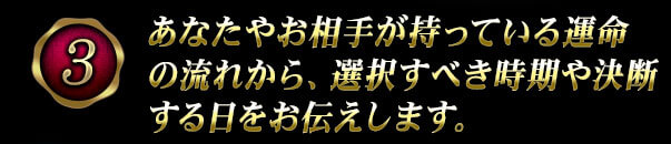 あなたやお相手が持っている運命の流れから、選択すべき時期や決断する日をお伝えします。