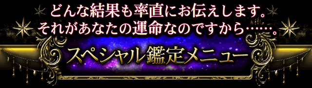 どんな結果も率直にお伝えします。　それがあなたの運命なのですから……。　スペシャル鑑定メニュー