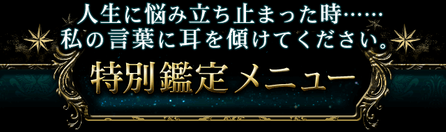 人生の悩みに立ち止った時……私の言葉に耳を傾けてください。　特別鑑定メニュー