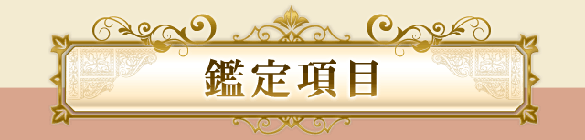 鑑定項目