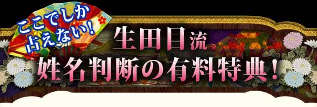 ここでしか占えない！生田目流姓名判断の有料特典！