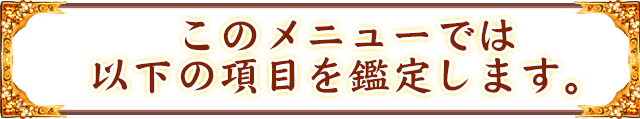 このメニューでは以下の項目を鑑定します。