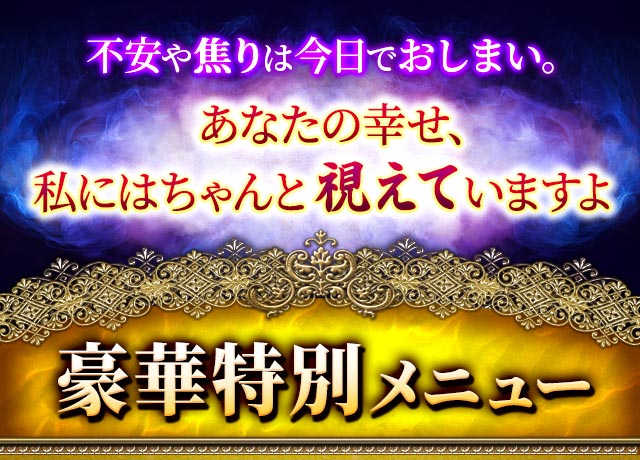 不安や焦りは今日でおしまい。あなたの幸せ、私にはちゃんと視えていますよ　豪華特別メニュー