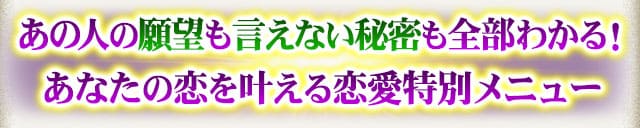 あの人の願望も言えない秘密も全部わかる！あなたの恋を叶える恋愛特別メニュー