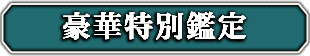 豪華特別鑑定