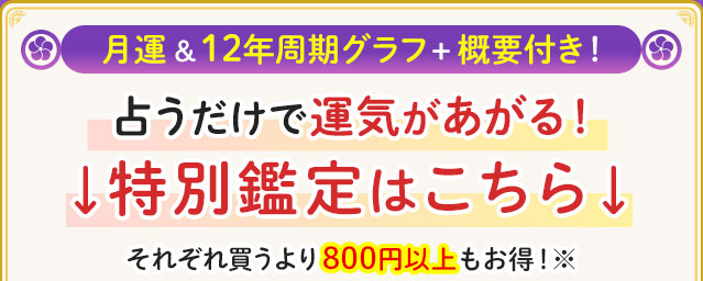 月運&12年周期グラフ+概要付き!占うだけで運気があがる!↓特別鑑定はこちら↓それぞれ買うより800円以上もお得!※