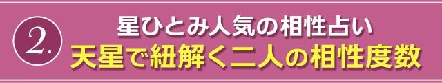 2. 星ひとみ人気の相性占い　天星で紐解く二人の相性度数