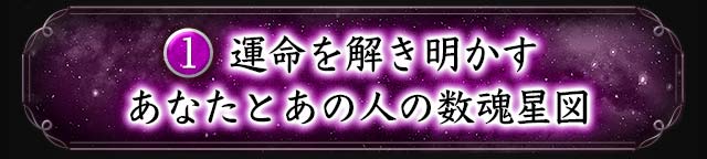 1 運命を解き明かすあなたとあの人の数魂星図