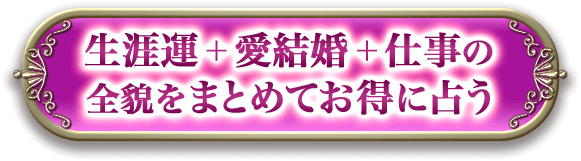 生涯運＋愛結婚＋仕事の全貌をまとめてお得に占う