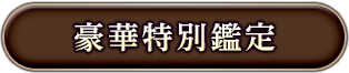 豪華特別鑑定