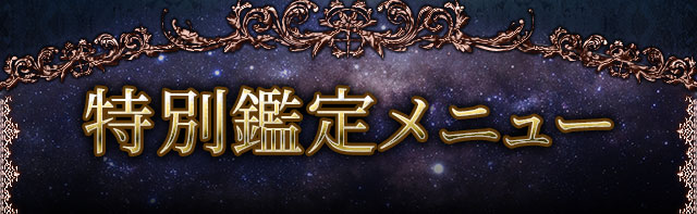 特別鑑定メニュー