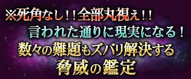 ※死角なし!!全部丸視え!!言われた通りに現実になる!数々の難題もズバリ解決する脅威の鑑定