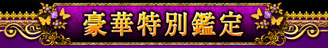 豪華特別鑑定