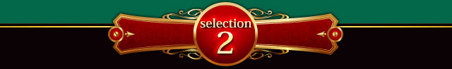 selection2