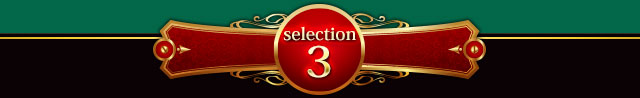selection3